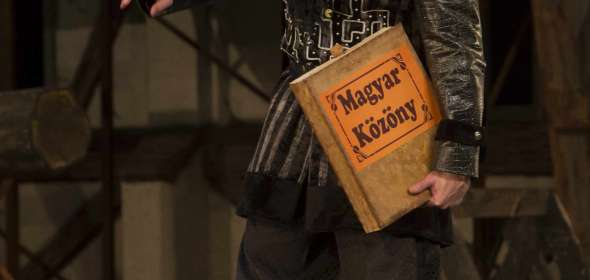 Lúdas Matyi (Matyi elszabadul, avagy sok lúd disznót győz)